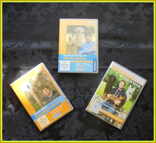 Sprachkurs hund hundetraining - sprachkurs, hund,