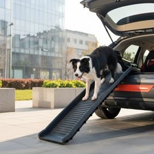 Hunderampe klappbar Auto