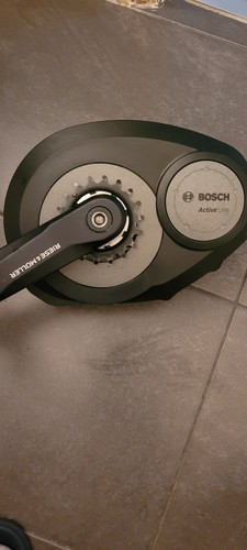 Bosch active line - active, e-bike