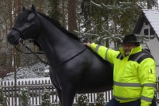 Lebensgroßes 3D Pferd TORNADO