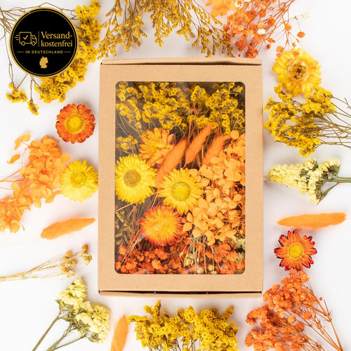 Trockenblumen set für - trockenblumen,