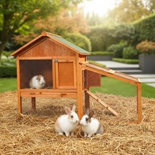 Hasenstall Kaninchenstall