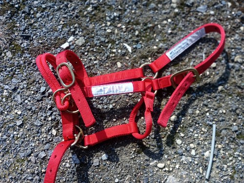 Rotes monty roberts - rotes,