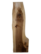 Nussbaum ast bohle brett - ast,
