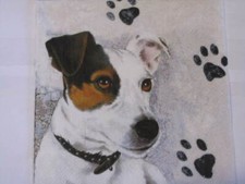 3 lose Servietten Jack Russel