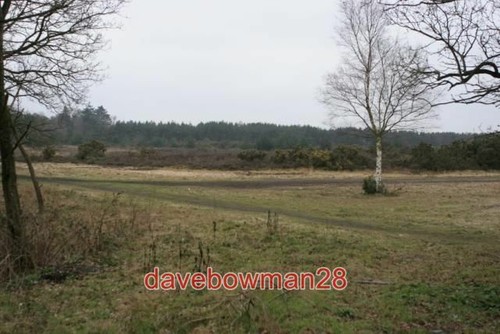 Foto yateley viel - foto, diesem