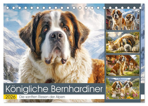 Königliche bernhardiner die - königliche,