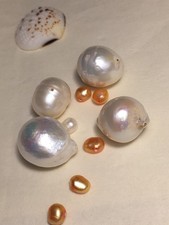 4 echte riesige Naturperlen