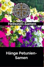 Hänge-, Balkon-Petunie