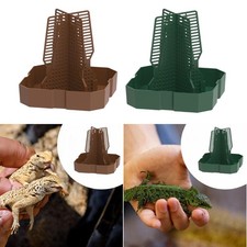 Futterstation für Bartagamen