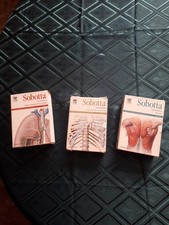 3er Set Sobota Lernkarten. Knochen ..., Muskeln, Organe Leitungsbahnen ZNS