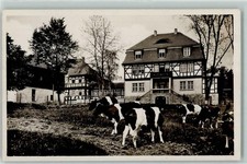 13183207 - 6052 Albrechts