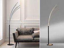 Große bogenförmige