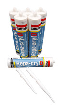 Soudal Repa-Cryl D Riß-