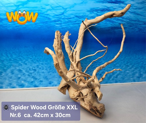 Xxl moorkien spiderwood - 👋xxl,