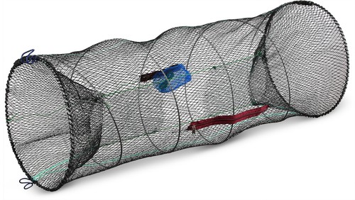 Reuse fischreuse - reuse,