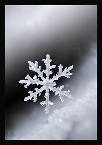 Moderne winter - moderne,