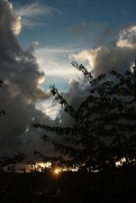 Sigma 28 -70mm f2.8!!!(fur