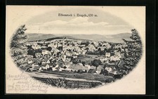 Ansichtskarte Eibenstock i. Erzgebirge, Gemeralansicht der Stadt 