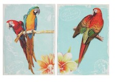2 er Set Wandbilder Papagei je 40 cm x 30 cm Bild bunte Vogel Motive
