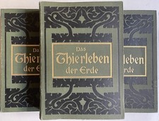 Wilhlem Haacke Wilhelm Kuhnert