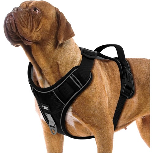 Hundegeschirr grosse hunde - grosse,
