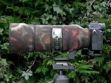 Sigma 100-400mm F/5-6.3 (C) Dg