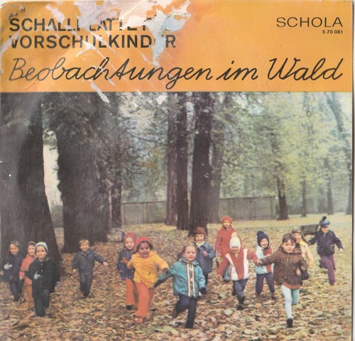 Schallplatte für