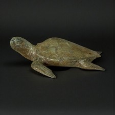 Bronze Schildkröte Indonesien