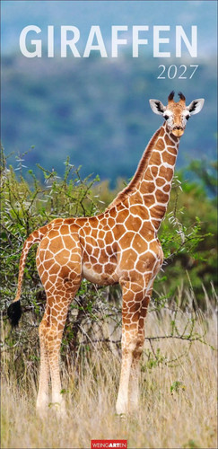 Giraffen kalender 2027 - 2027, |