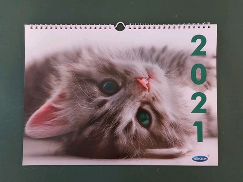 Kalender wandkalender 2021 - kalender,