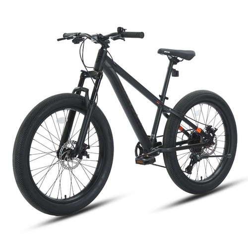 Spatial mountianbike - spatial, 24''