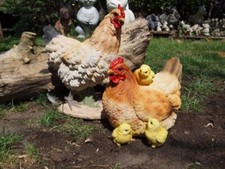Huhn Henne Deko Figur lebensgroß  natürlich Hahn Gartenfigur NEUHEIT
