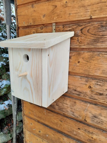 Spatzen meisen nistkasten - meisen, holz