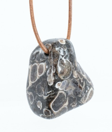 Turritellaachat achat seelilie - turritellaachat,