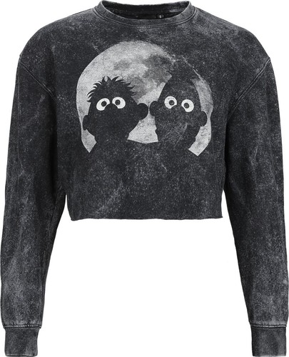 Sesame street sweatshirt damen - street,