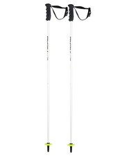 Neue HEAD WORLDCUP SL Jr