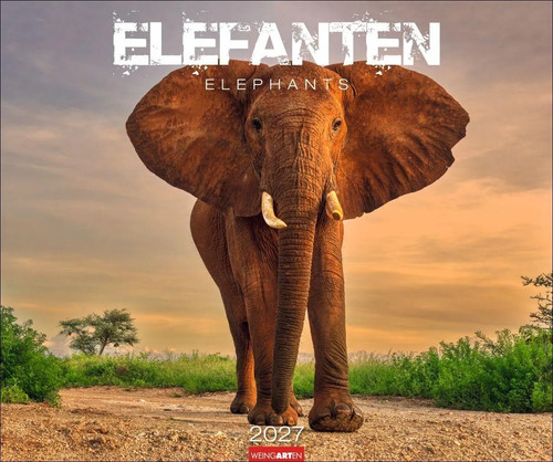 Elefanten kalender 2027 - kalender, |