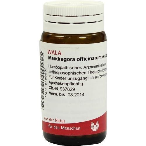 Mandragora officinarium e - mandragora,