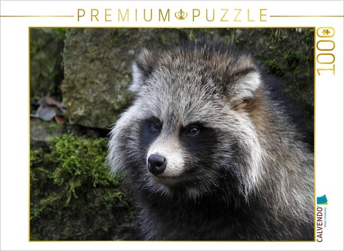 Calvendo puzzle marderhund - marderhund, |