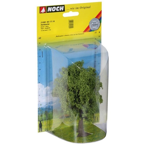 Noch 21690 hainbuche baum - hainbuche, 13