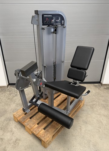 Hammer strength life - hammer,
