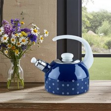Riess Flötenkessel Wasserkessel Wasserkocher Emaille 2L Blümchenblau Kessel Tee