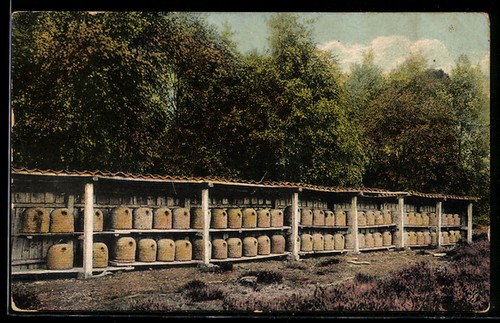 Ansichtskarte bienenstand - bienenstand, in