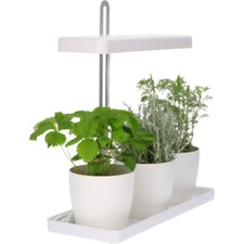 B-Ware Mini-Gewächshaus höhenverstellbares LED-Pflanzlicht Kräutergarten