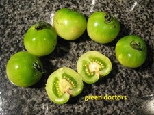 Tomaten Bio Saatgut Samen , green doctors