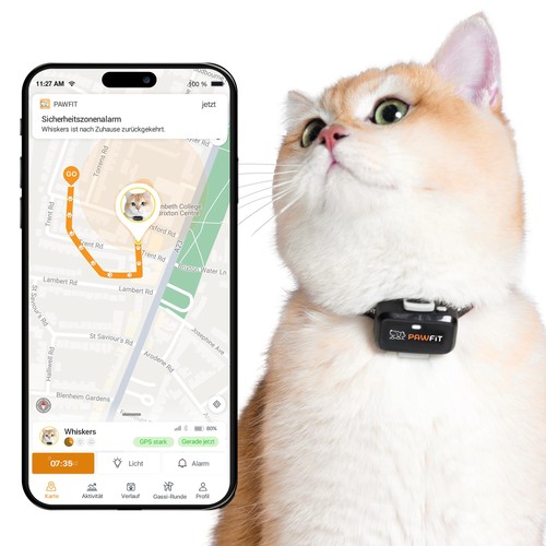 Pawfit gps tracker - pawfit, katzen