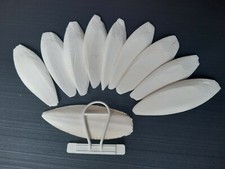 10 Sepiaschalen + 1 Halter