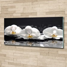 Acrylglas bild wandbilder - acrylglas-bild,