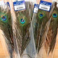 Pfauenaugen 2 Stück per